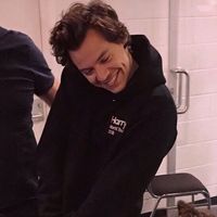 harryfilmzs