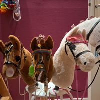 ivdhobbyhorsing.official