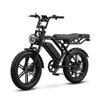 fettbikegermany