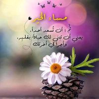 son original - DR lame21