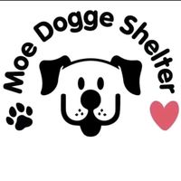 moedoggeshelter_