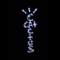 original sound - cactuscatoficial