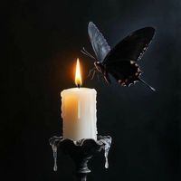 driteez