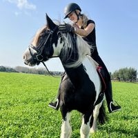 maudvkollenburg.dressage