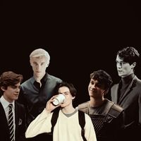 _voldymoldy_