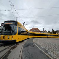 trambusfreak