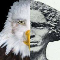 Total muslim domination