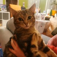 Originalton - Анекдотик на каждый день!