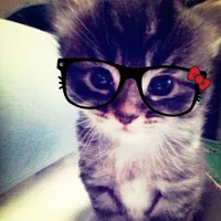 dead to me kali uchis