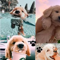 zoe_mindenes_oldala_17