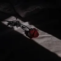 original sound - justmybookishlife