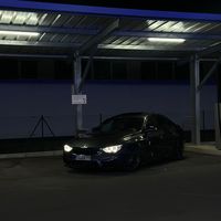 sharkf30