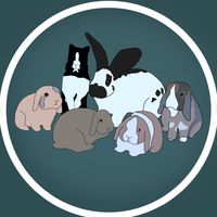 sportingbunnys