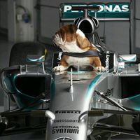 f1girliepop