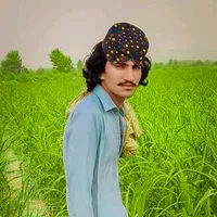 original sound - lofarbaloch245