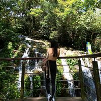 hounesok