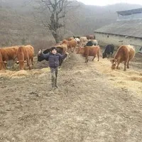 original sound - giannhs.totonidhs