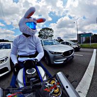 bunyi asal - RABBIT🐇_OFFICIAL🇵🇸