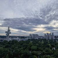 原聲