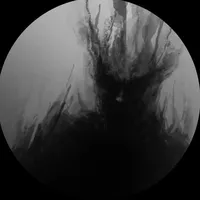 original sound - gergoke17