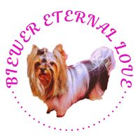 biewer.eternal.lo