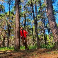 original sound - kokogyi5757