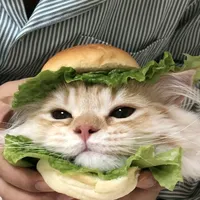 original sound - riww_144