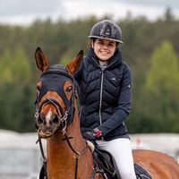 markowska_horses