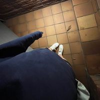 emanemazul_