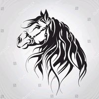 mohamed_alkhlef9
