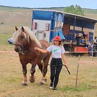 iulia_mirela