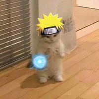 narutofanvadok
