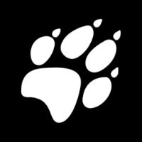 jackwolfskin