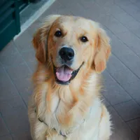 original sound - brando.il.biondo