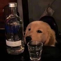 original sound - dzejkobvfx