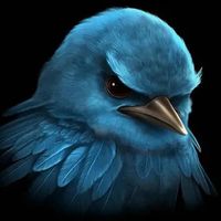 raven_justinyt
