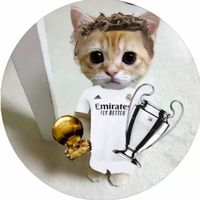 ronaldo27621