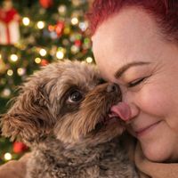 Hier habt alle dermaßen einen an der Klatsche...