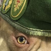 aqui292
