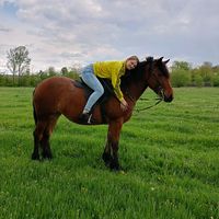 lory_565