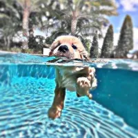 original sound - preppy_songs.10