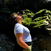 son original - C.HOUMELL