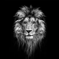 original sound - motivation_positive2