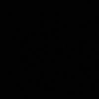 lyssi_07