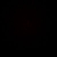 iness_6991