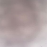 Stay Between the Ditches