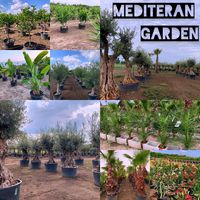 mediterangarden