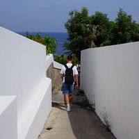 emanuel_121112