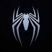 A birds last look slowed