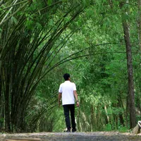 original sound - nguyenqui1501